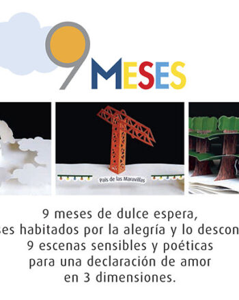 9 MESES