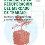 De la gran recesión a la recuperación del mercado de trabajo - Cuestiones, datos concluyentes y opciones en materia de políticas