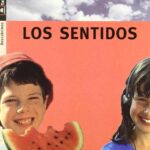 Descubrimos: Los Sentidos