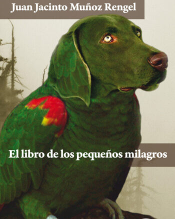 El libro de los pequeños milagros