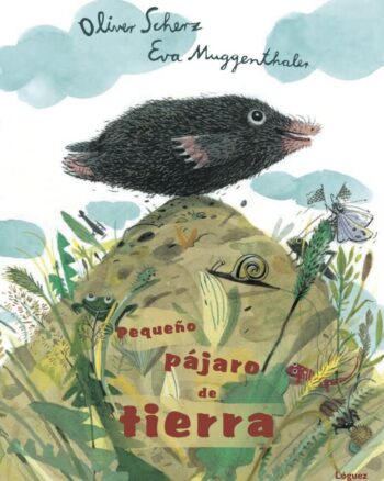 Pequeño pájaro de tierra